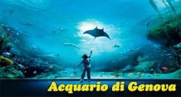 аквариум генуи аcquario di genova