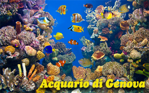 аквариум генуя италия