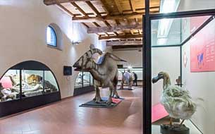 Музей истории Энрике Каффи в Бергамо фото